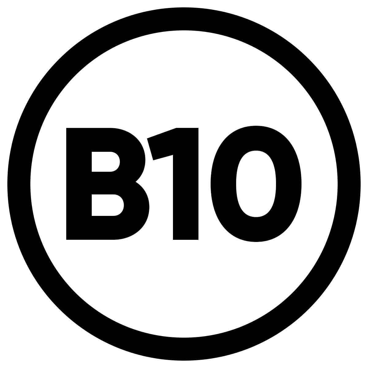B10 Sticker Car 10 cm