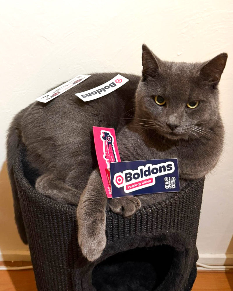 Nieuwe fans gespot: huisdieren met Boldons-stickers