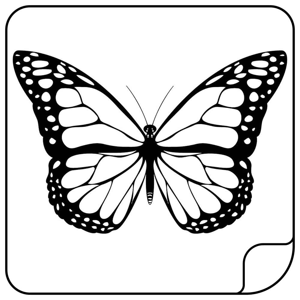 Vlinder Sticker